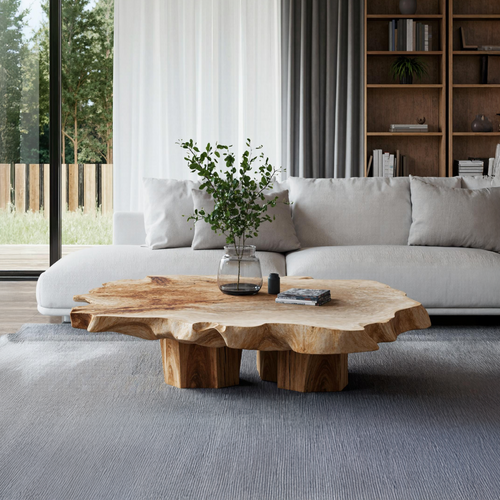 Handcrafted Coffee Table For Unique Living Room SILDTTRCF006