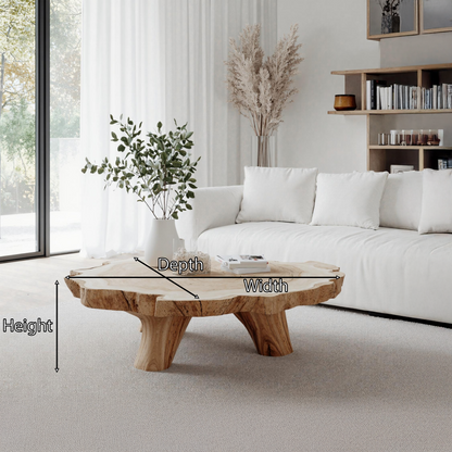 Handcrafted Coffee Table For Rustic Room Aesthetic SILDTTRCF003
